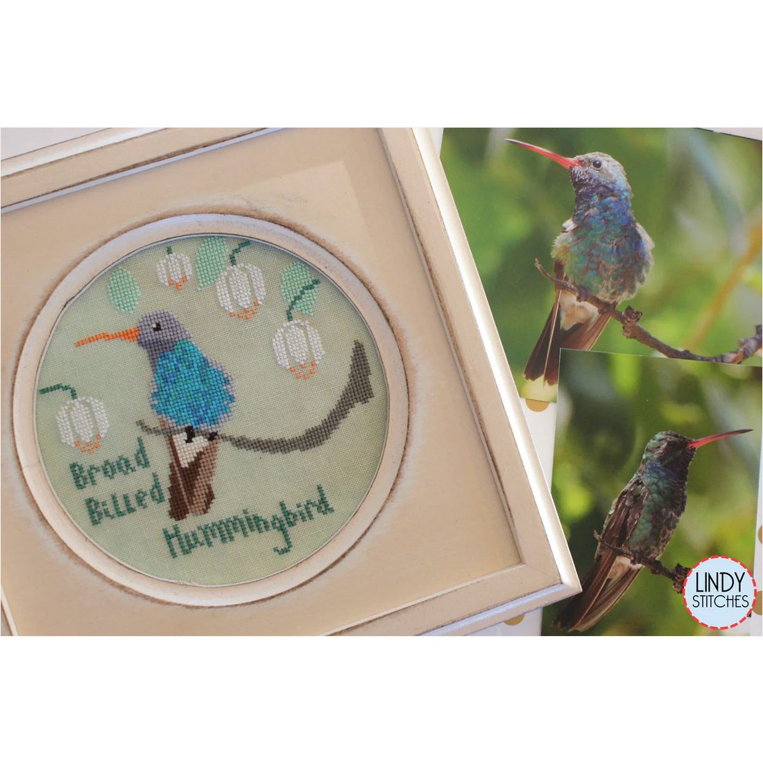 Lindy Stitches ~ Broad Billed Hummingbird Pattern