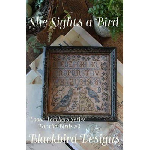 Blackbird Designs ~ For the Birds 3 - She Sights a Bird Pattern