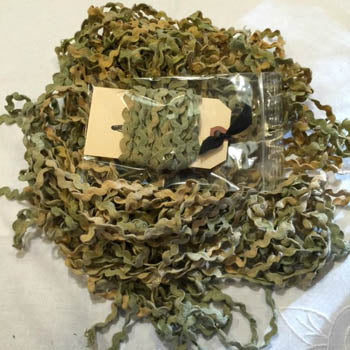 Lady Dot Creates ~ Rick Rack Trim - Mossy 7/32"