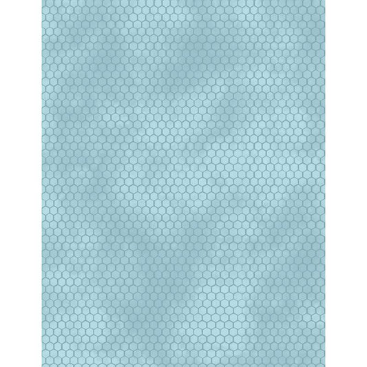 Sunkissed ~ Honeycomb ~ 1665-33919-444 Sky Blue