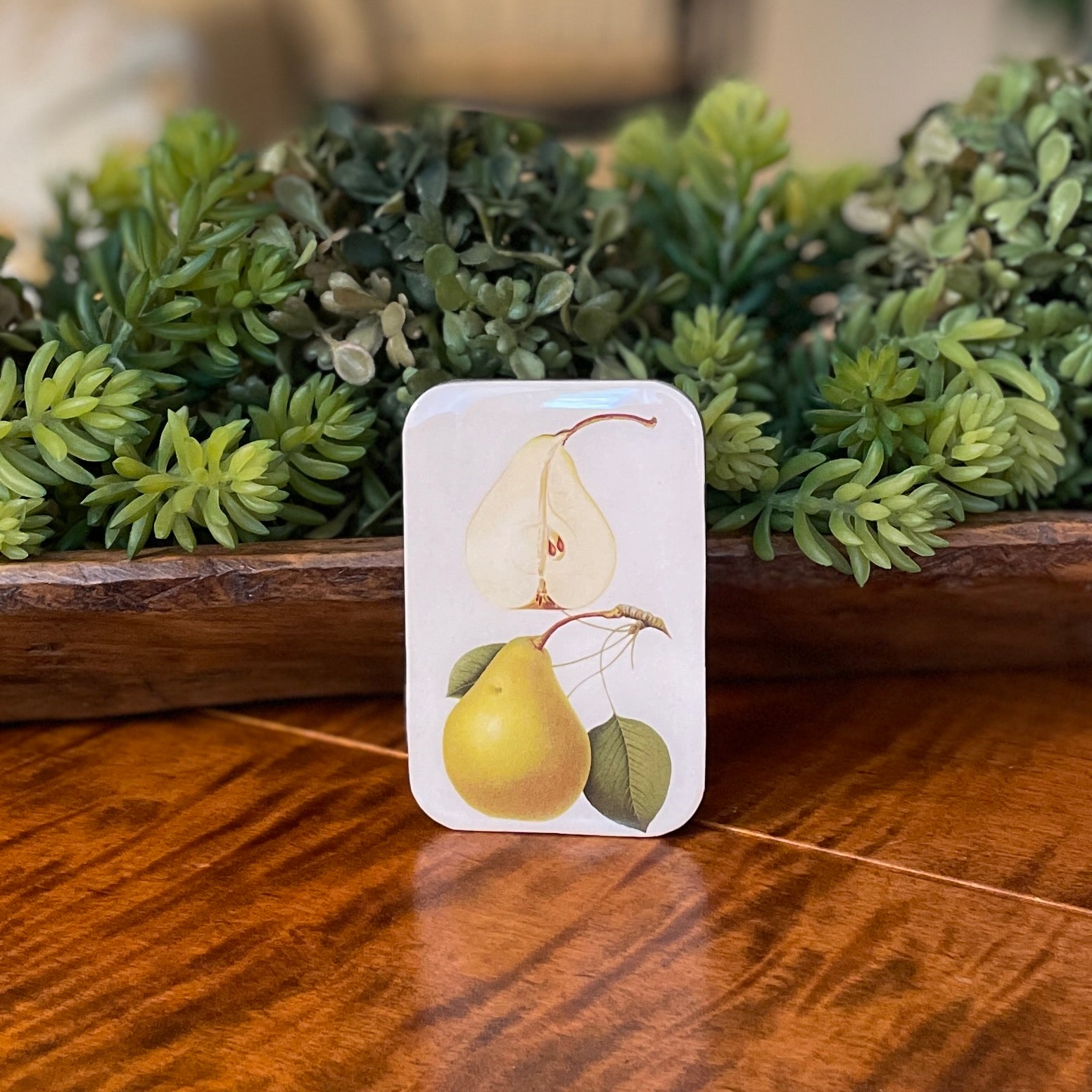 Pear Container Tin Container with Magnet Large | Botanical Pear – Hobby House Needleworks