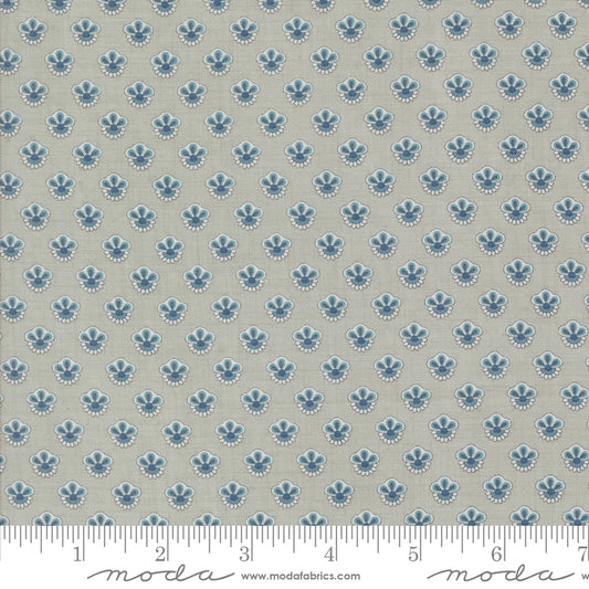 Sacre Bleu ~ Campanule Blenders ~ 13977 14 Ciel Blue