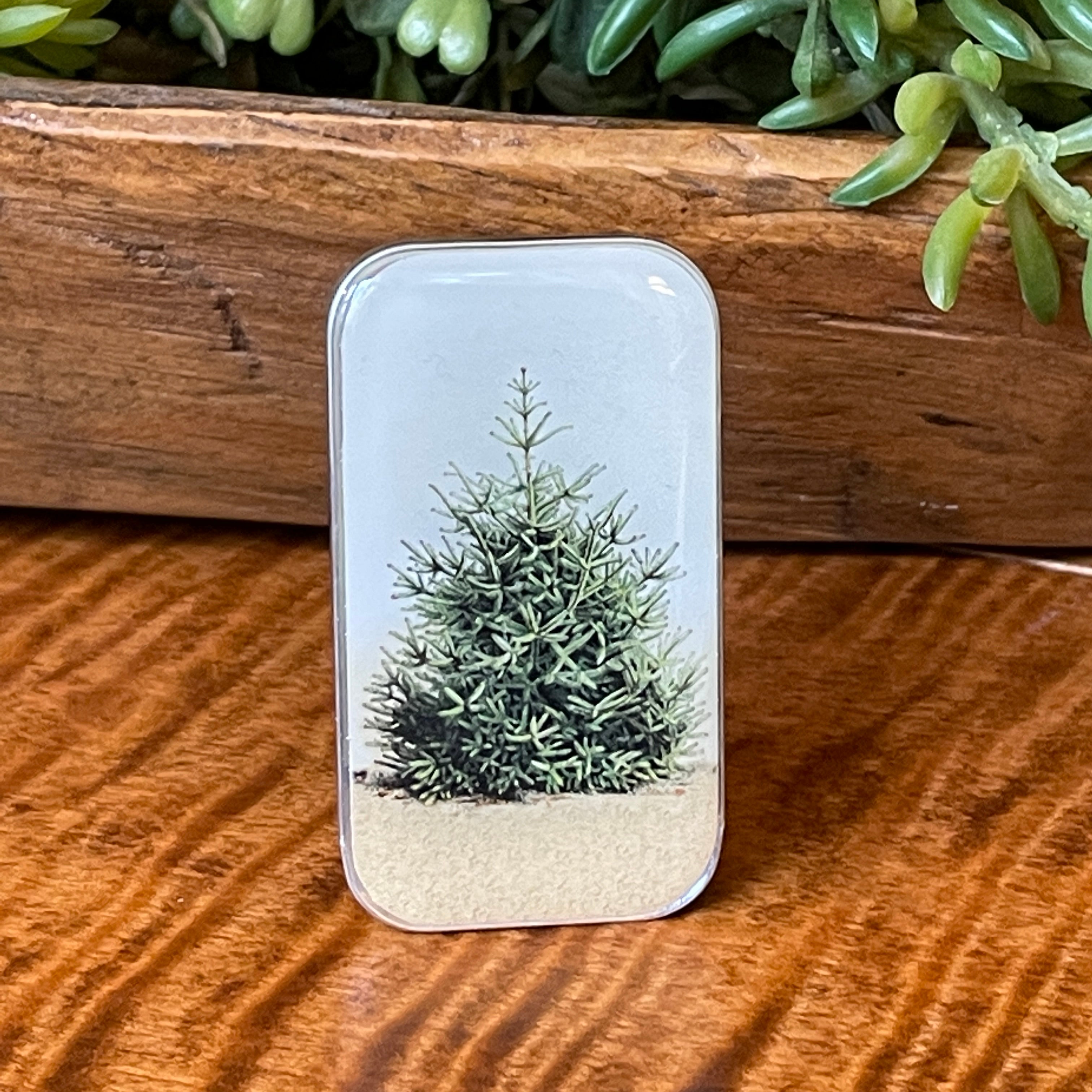 Tin Container Small ~ Pine Tree – Hobby House Needleworks