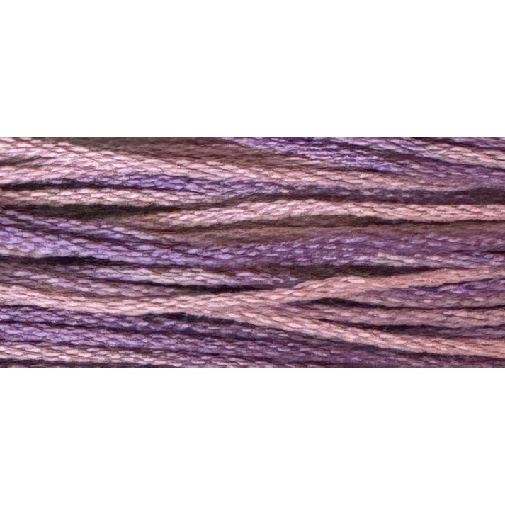 Sweet Pea 2296