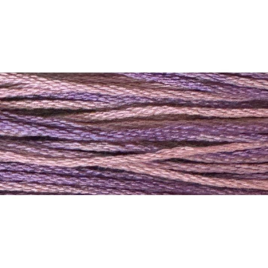 Sweet Pea 2296