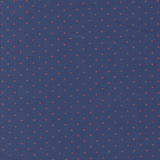 Star Spangled ~ Twinkle ~ 24106 80 Twilight Rocket