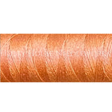Soie 100/3 - 244