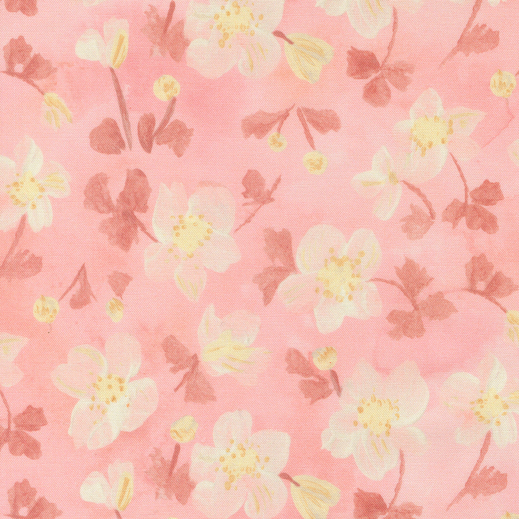 Sweet Cecily ~ Anemone ~ 24641 11 Rose