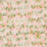 Sweet Cecily ~ Queen Ann ~ 24642 11 Rose