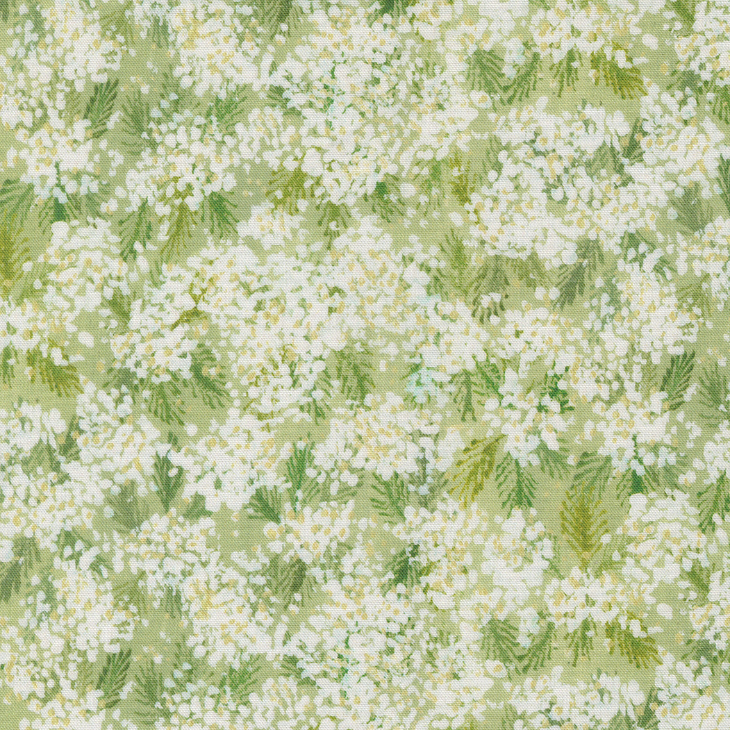 Sweet Cecily ~ Queen Ann ~ 24642 12 Bud