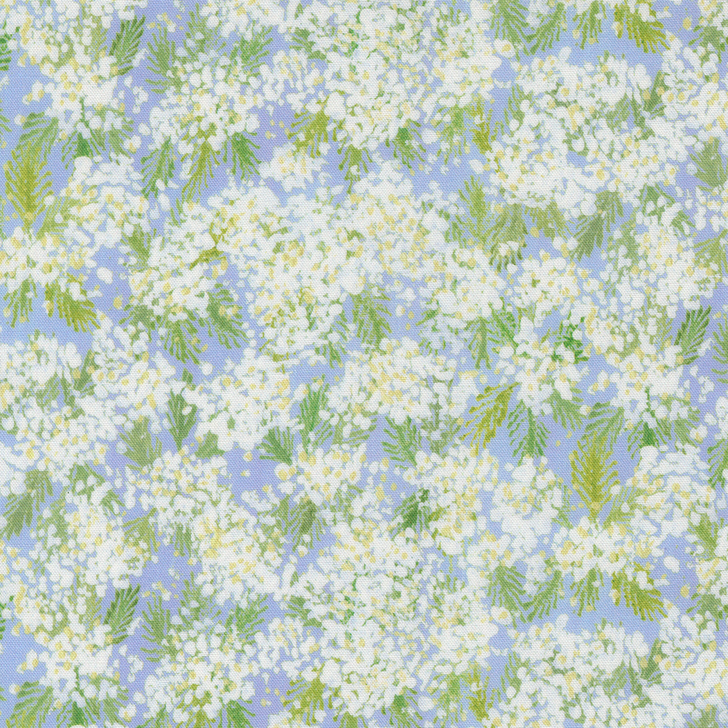 Sweet Cecily ~ Queen Ann ~ 24642 13 Hyacinth