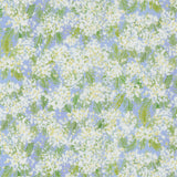 Sweet Cecily ~ Queen Ann ~ 24642 13 Hyacinth