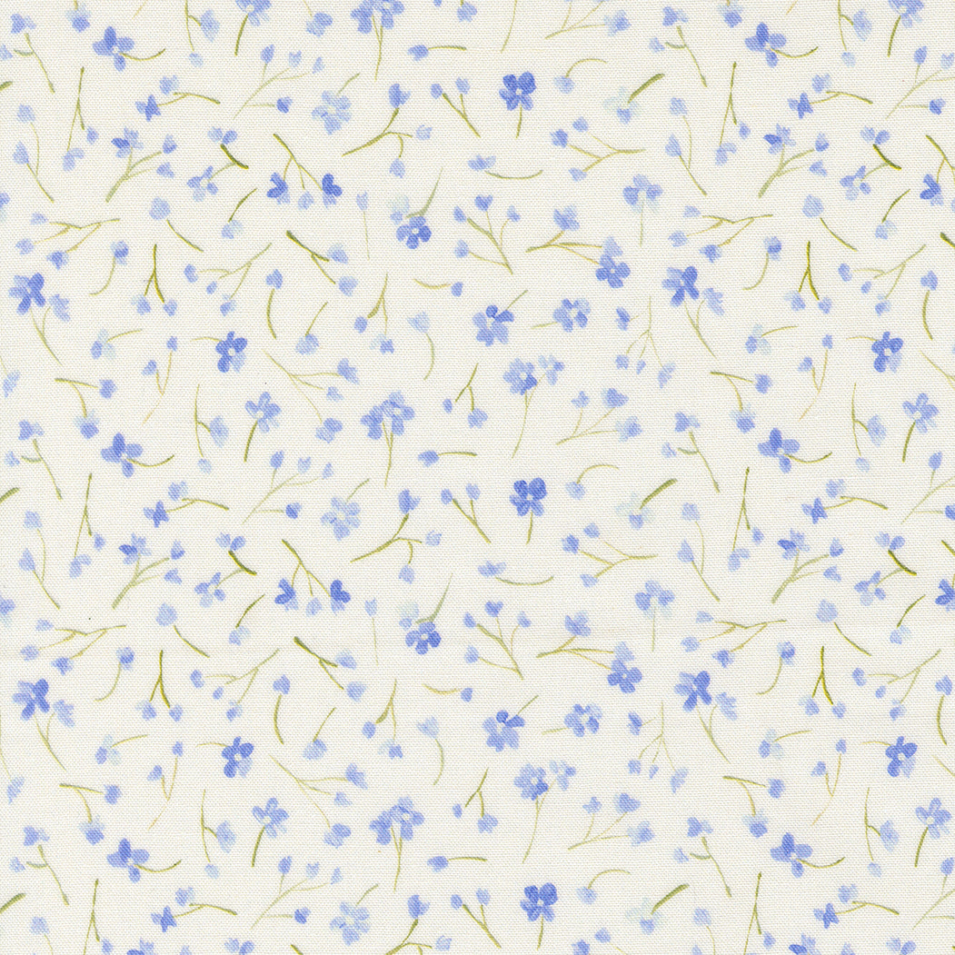 Sweet Cecily ~ Forget Me Not ~ 24644 11 Hyacinth