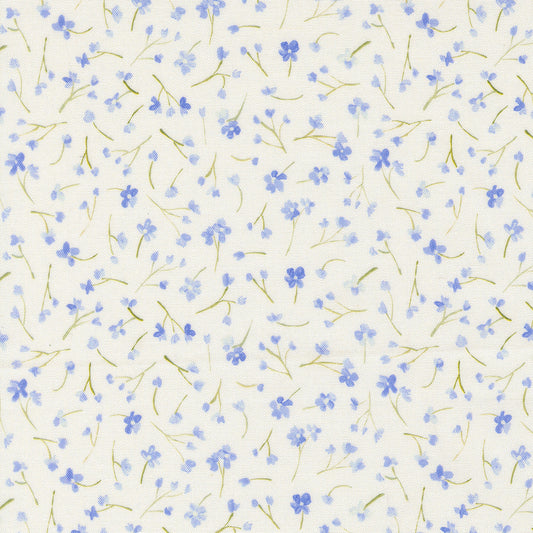 Sweet Cecily ~ Forget Me Not ~ 24644 11 Hyacinth
