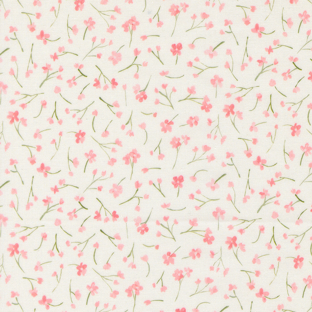 Sweet Cecily ~ Forget Me Not ~ 24644 12 Rose