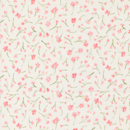 Sweet Cecily ~ Forget Me Not ~ 24644 12 Rose