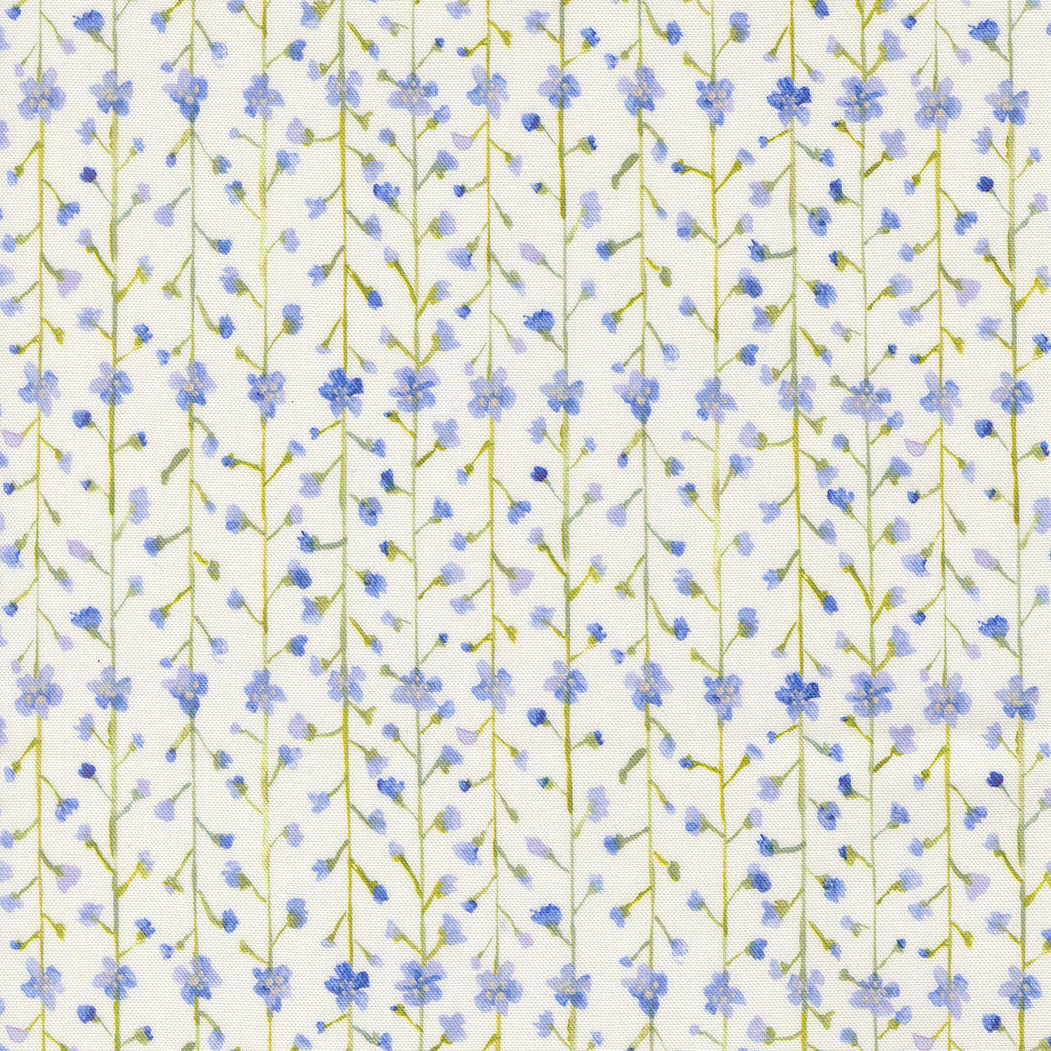 Sweet Cecily ~ Clematis Stripes ~ 24645 11 Hyacinth