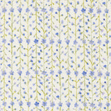 Sweet Cecily ~ Clematis Stripes ~ 24645 11 Hyacinth