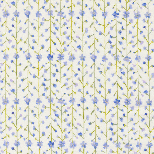 Sweet Cecily ~ Clematis Stripes ~ 24645 11 Hyacinth