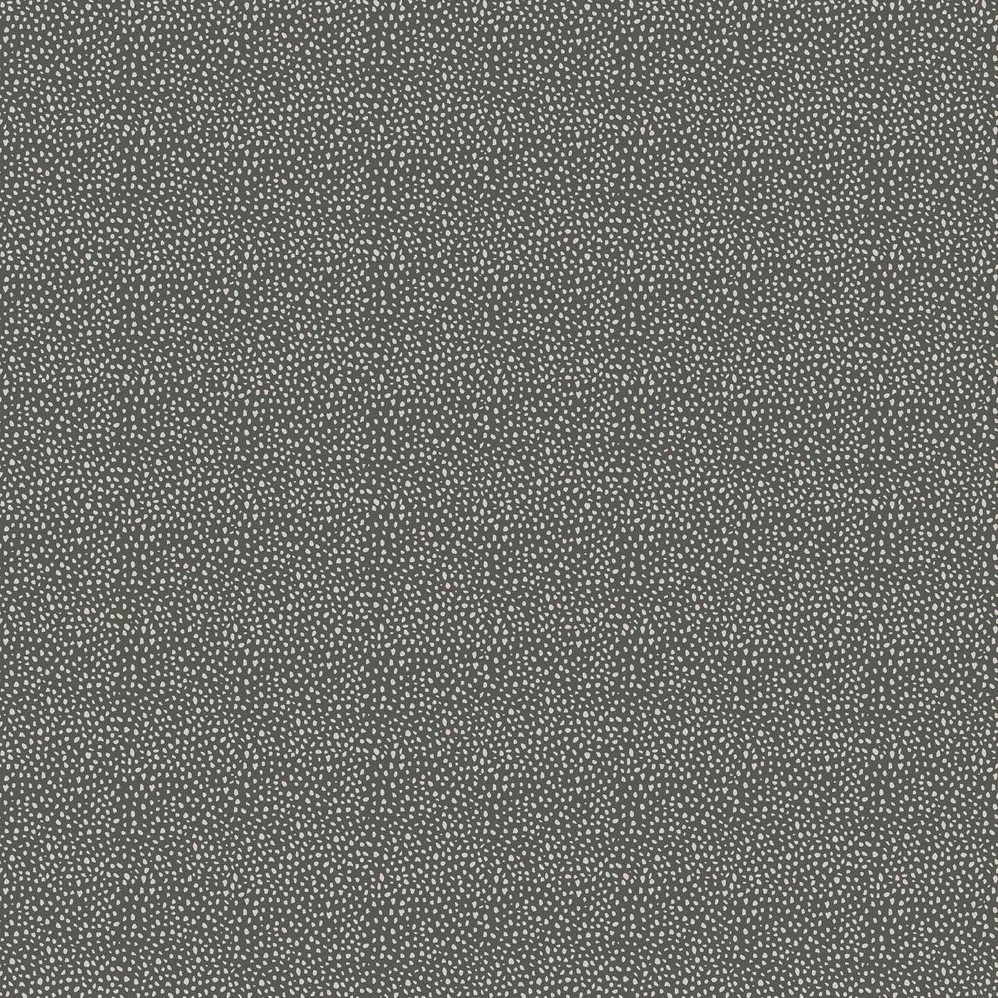 Wild One ~ Dots ~ 27694-95 Dark Gray