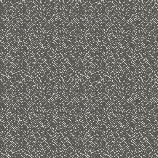 Wild One ~ Dots ~ 27694-95 Dark Gray