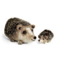 The Crafty Kit Company | Happy Hedgehogs Needle Felting Kit