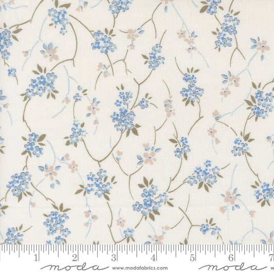 Blossom Jubilee | Cloud 3092 11