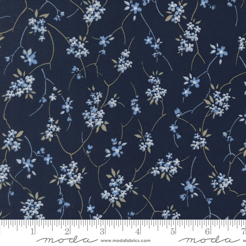 Blossom Jubilee | Nightfall 3092 16
