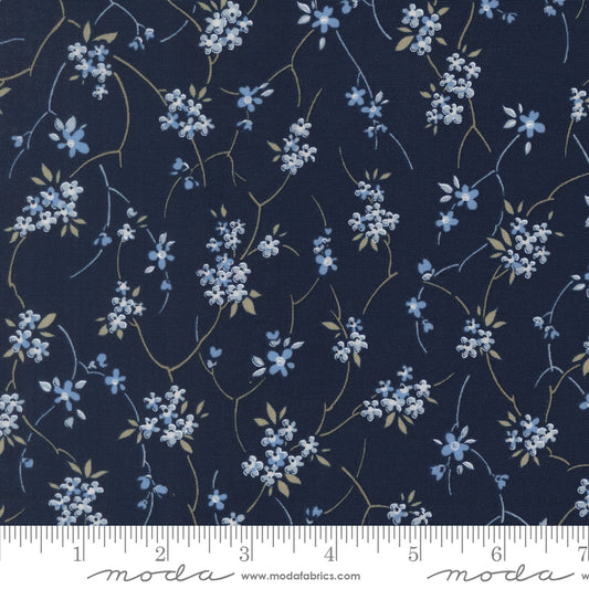 Blossom Jubilee | Nightfall 3092 16