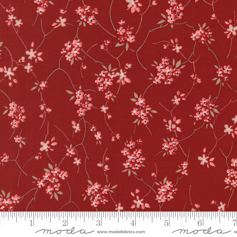 Blossom Jubilee | Rose 3092 20
