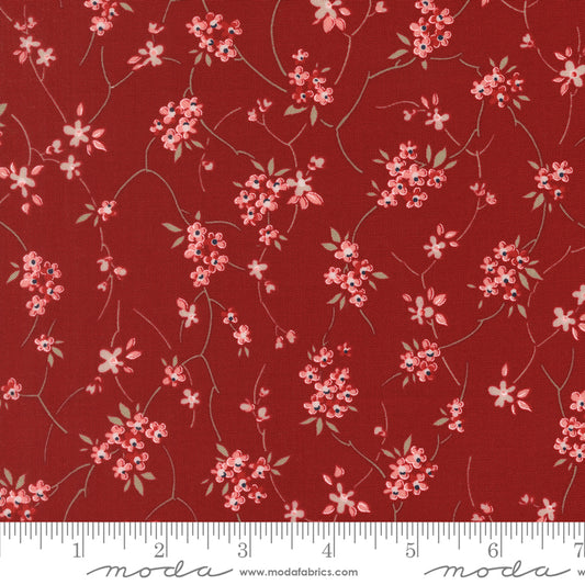 Blossom Jubilee | Rose 3092 20