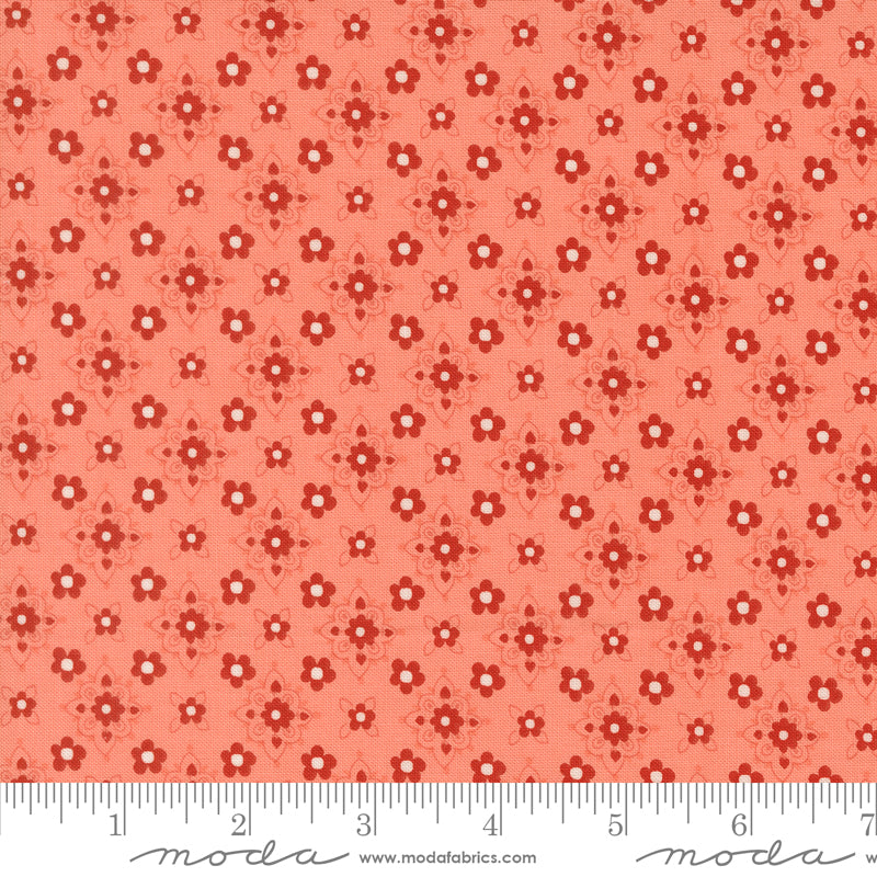 Blossom Jubilee | Bloom 3093 19