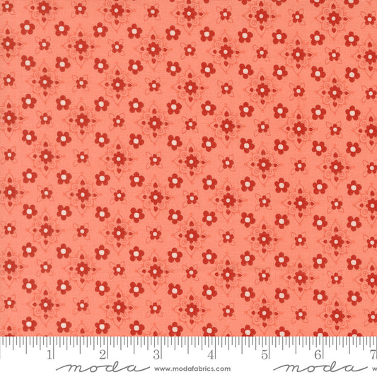 Blossom Jubilee | Bloom 3093 19