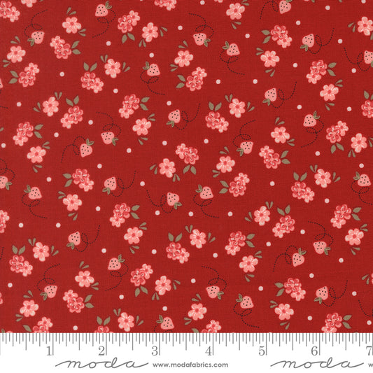 Blossom Jubilee | Cherry 3094 21
