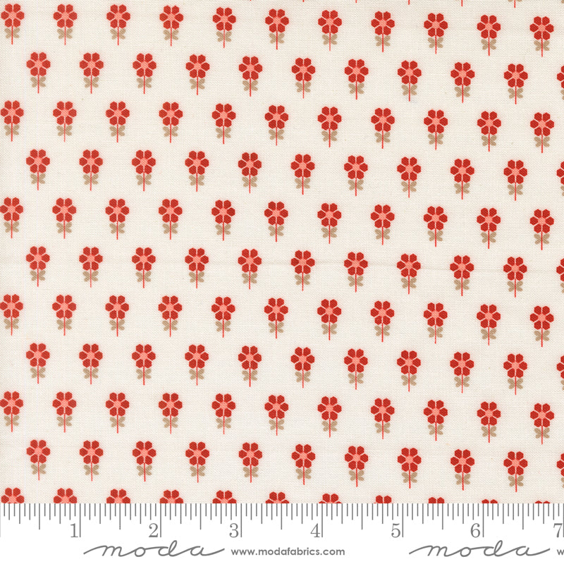 Blossom Jubilee | Cloud 3095 11
