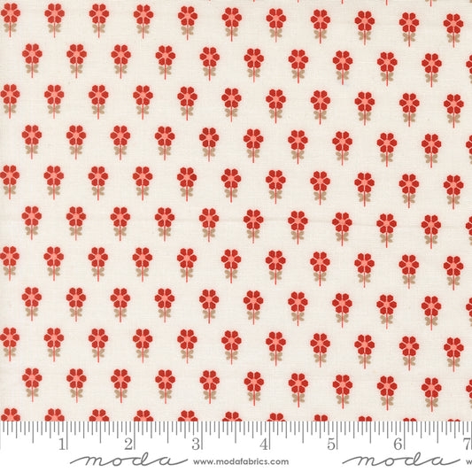 Blossom Jubilee | Cloud 3095 11