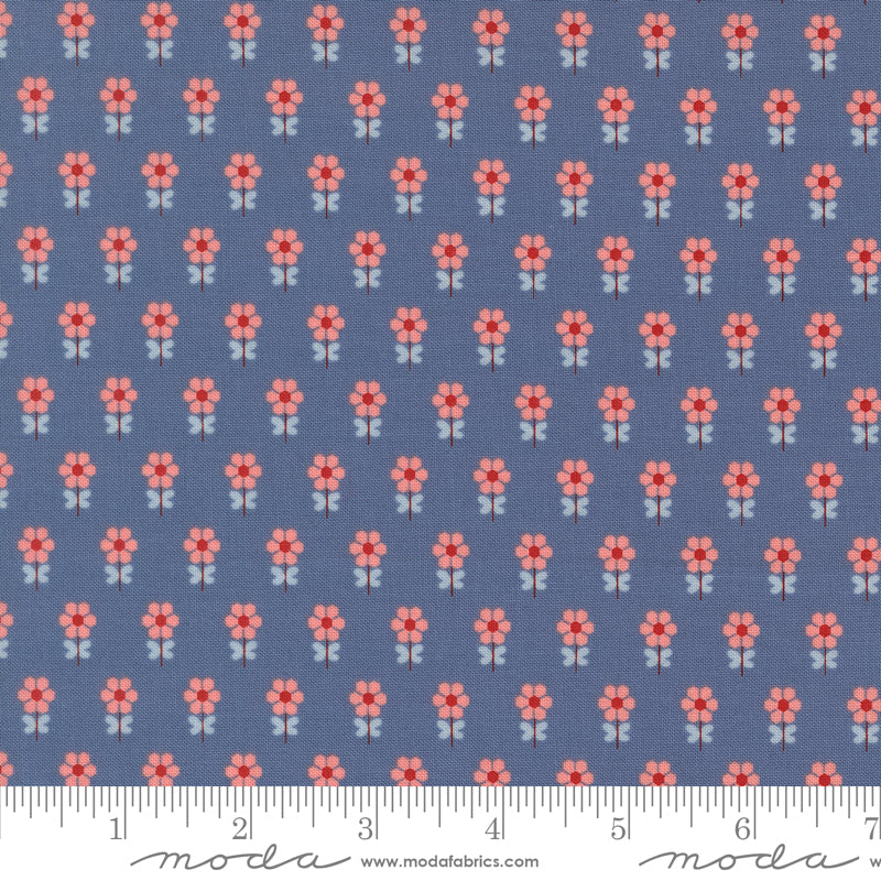 Blossom Jubilee | Sky 3095 14