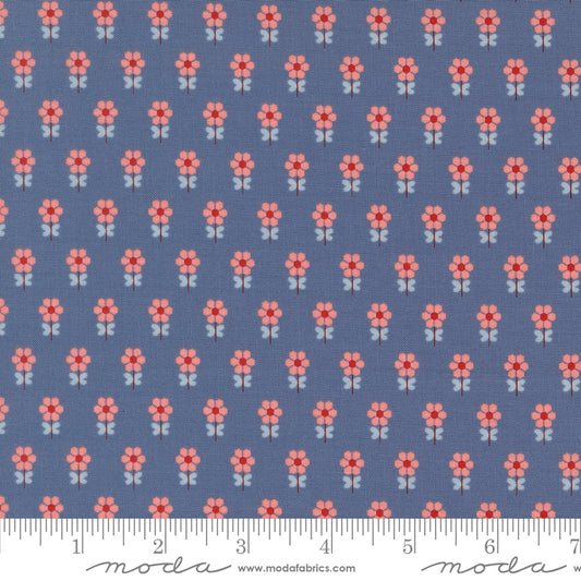 Blossom Jubilee | Sky 3095 14