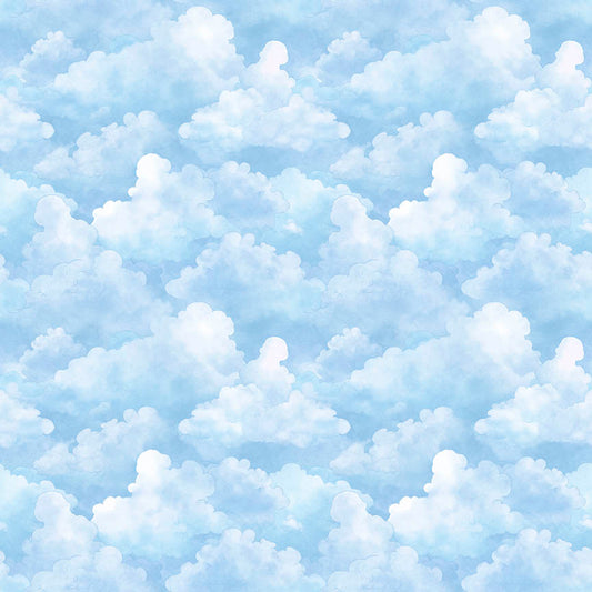 Bearsville ~ Clouds ~ 31264 B Sky Blue