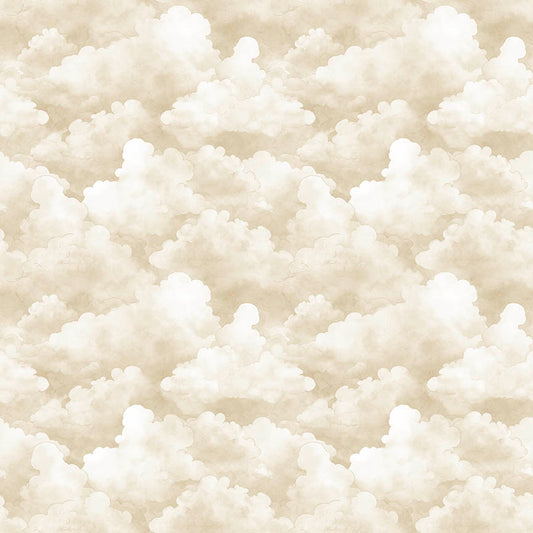 Bearsville ~ Clouds ~ 31264 E Tan