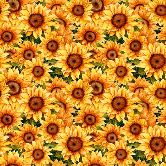 Sunflower Serenade ~ Packed Sunflowers ~ 31804 G Green