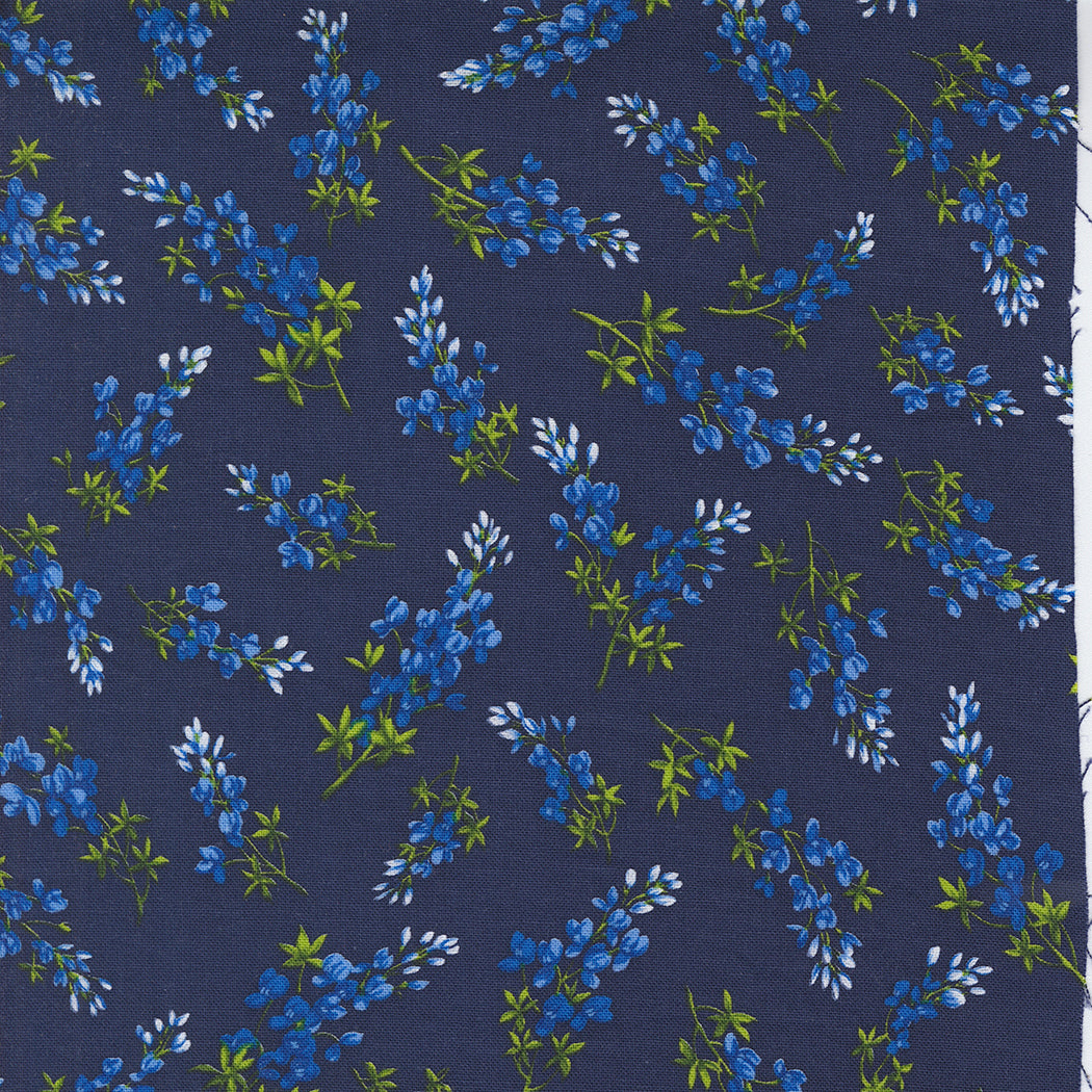 Wildflowers 2024 ~ Bluebonnet Toss 33775 12 Indigo