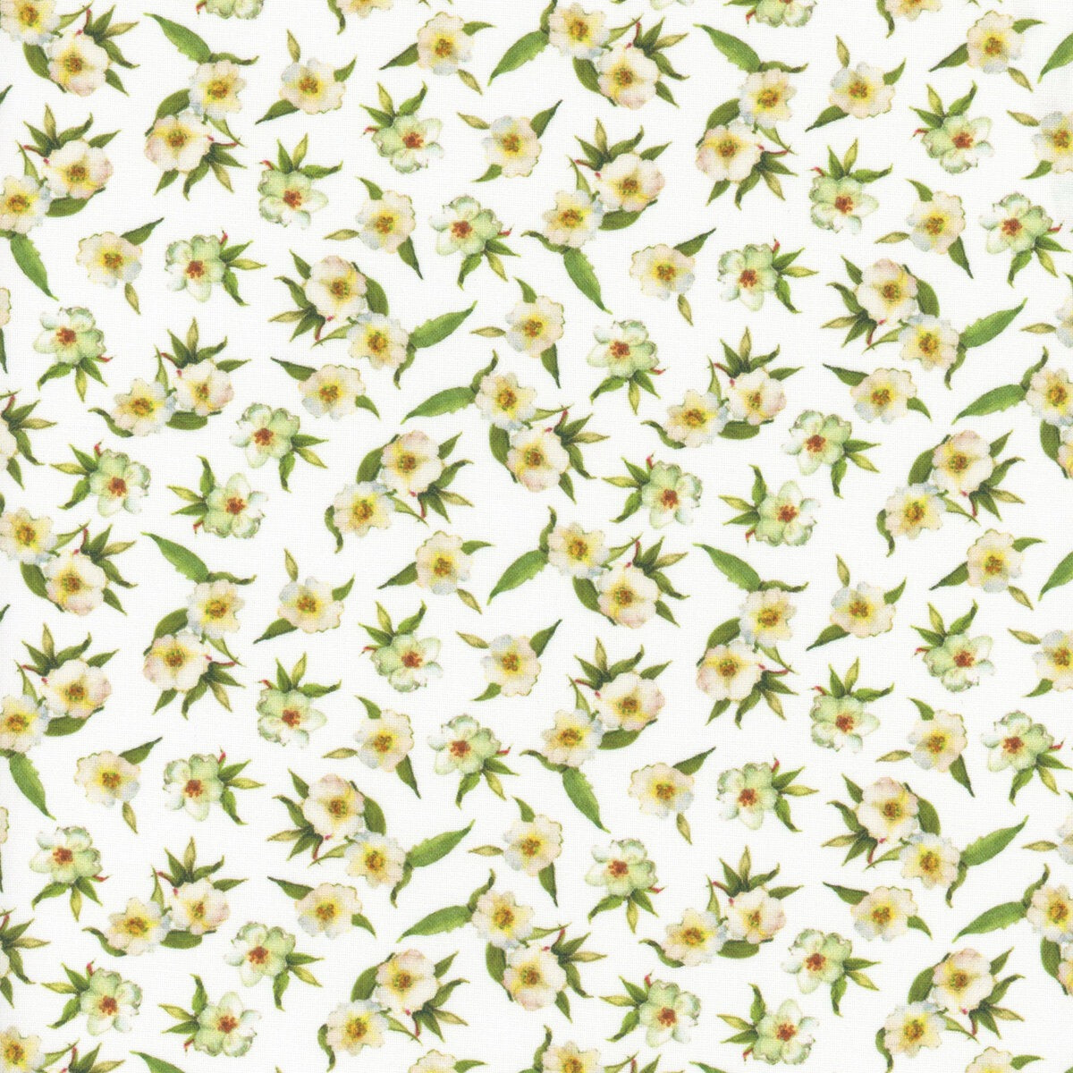 Patchwork Picnic ~ W105-016-000 White
