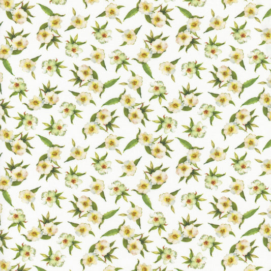 Patchwork Picnic ~ W105-016-000 White