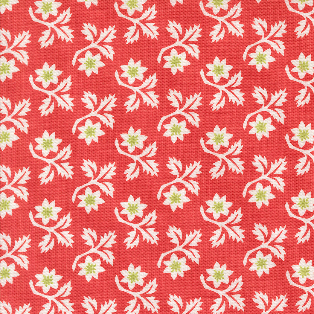 Buon Natale ~ Christmas Thistle 35403 13 Poinsettia