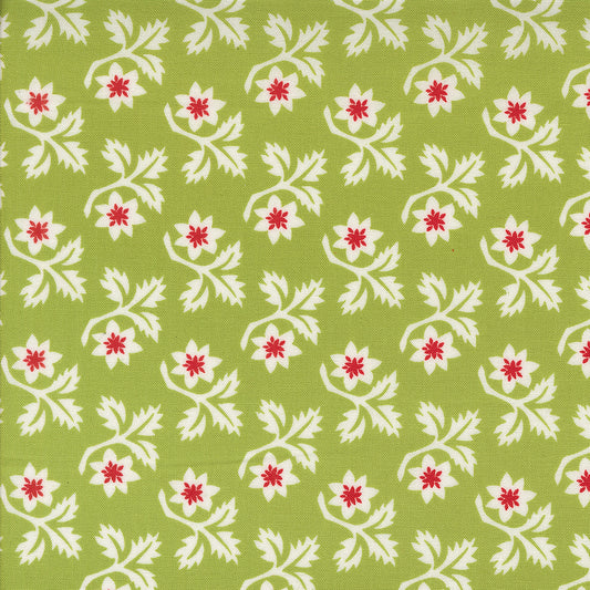 Buon Natale ~ Woodcut Christmas Flower 35402 15 Cedar