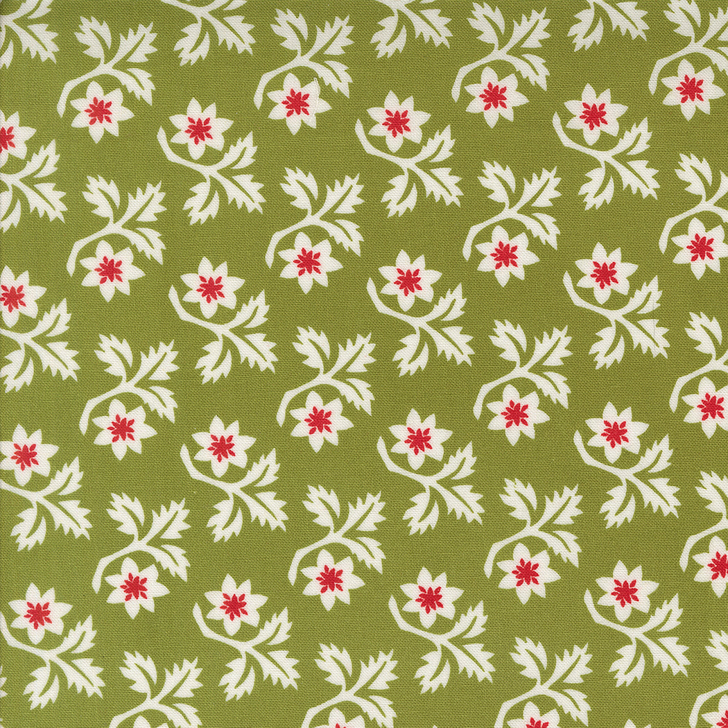 Buon Natale ~ Woodcut Christmas Flower 35402 16 Pine