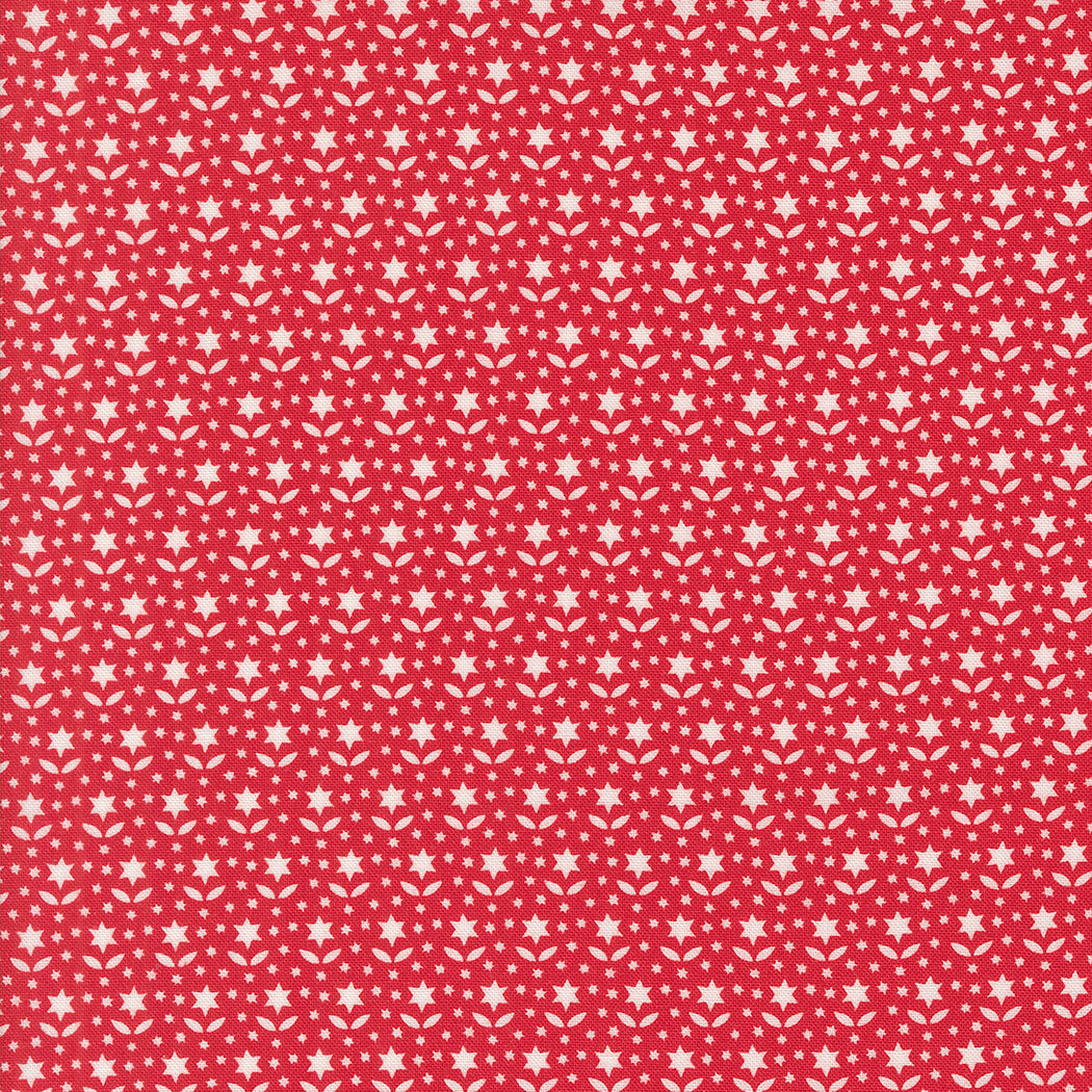 Buon Natale ~ Star Blooms 35405 14 Pomegranate