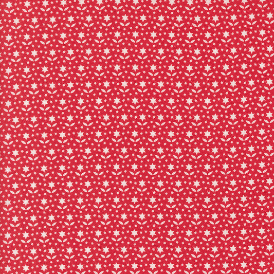 Buon Natale ~ Star Blooms 35405 14 Pomegranate
