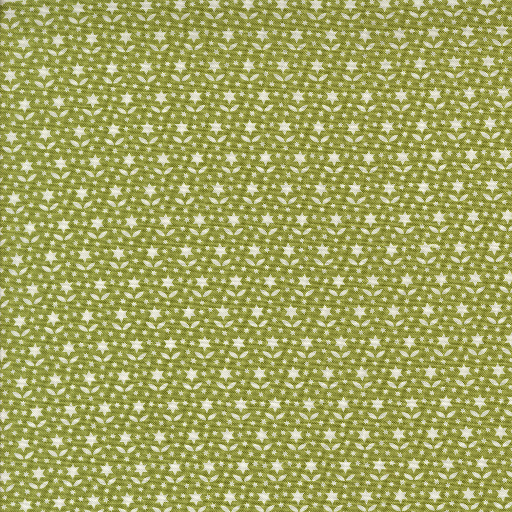 Buon Natale ~ Star Blooms 35405 16 Pine